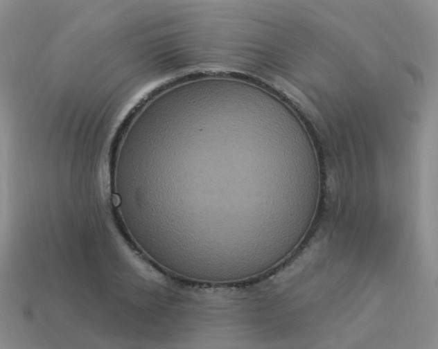 X0000113880934200910081744