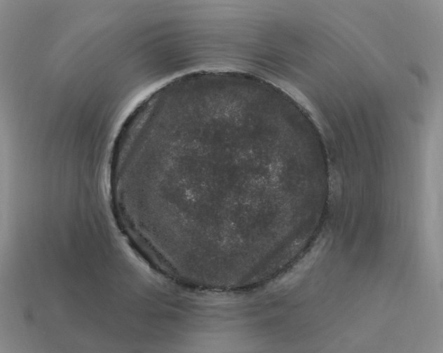 X0000113880935200910081744