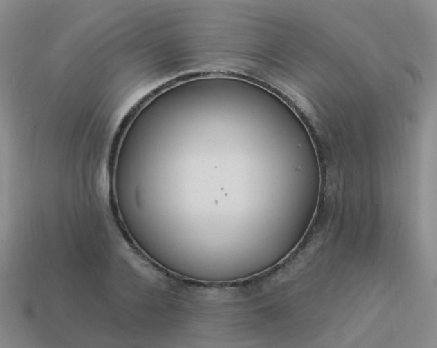 X0000113880936200910081744