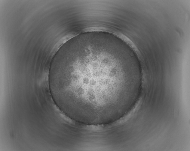 X0000113880937200910081744