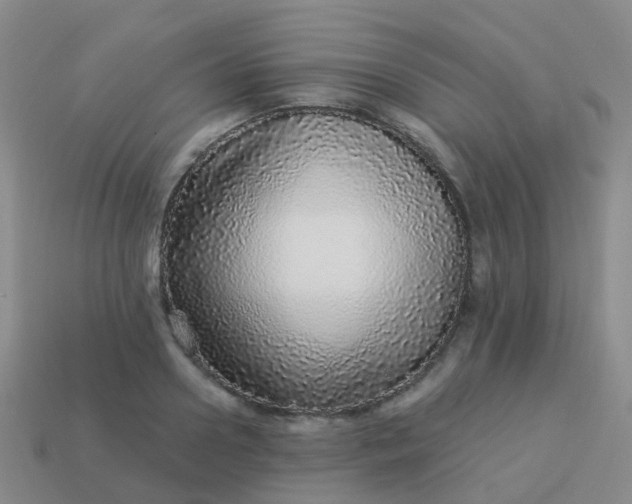 X0000113880938200910081744