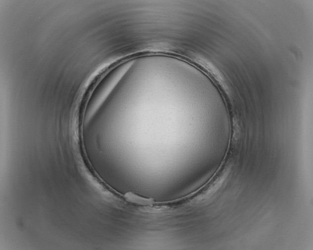 X0000113880939200910081744