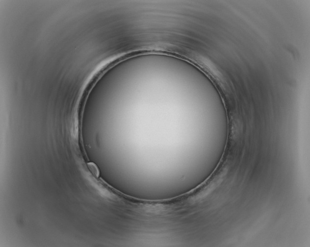 X0000113880940200910081744