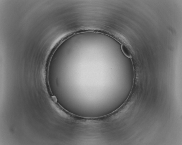 X0000113880942200910081744