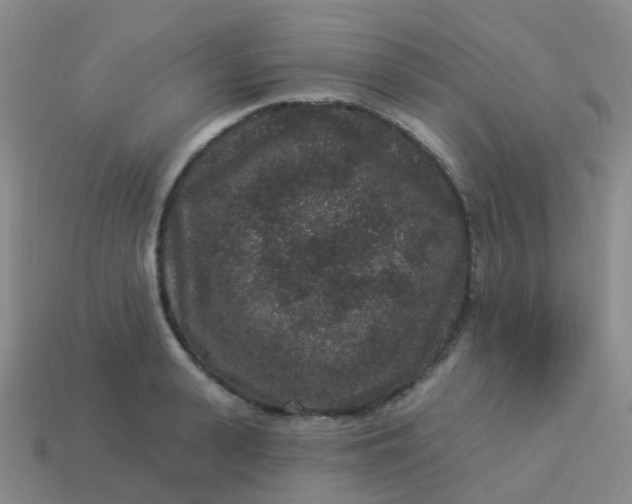 X0000113880943200910081744