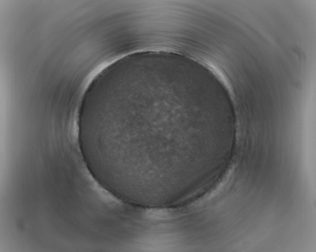 X0000113880944200910081744