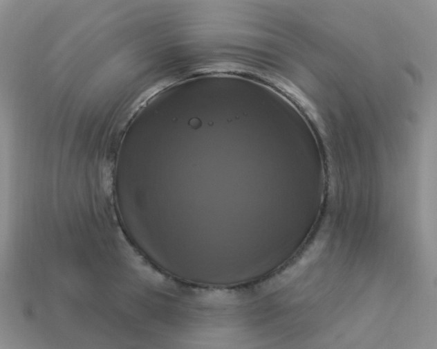 X0000113880945200910081744