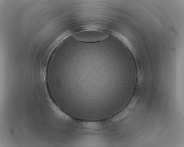 X0000113880946200910081744