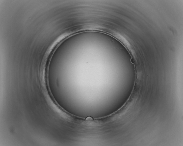 X0000113880947200910081744