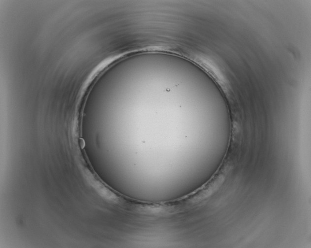 X0000113880948200910081744