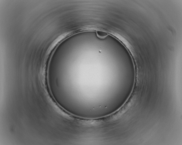 X0000113880949200910081744