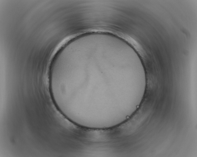 X0000113880950200910081744