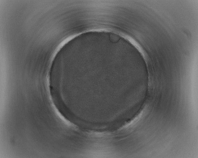 X0000113880951200910081744