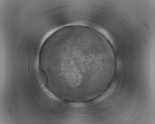 X0000113880952200910081744