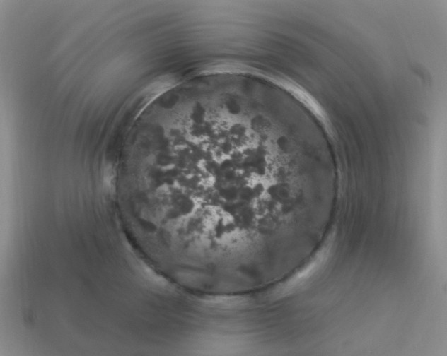 X0000113880953200910081744