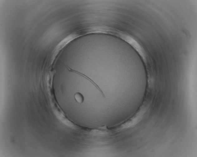 X0000113880954200910081744