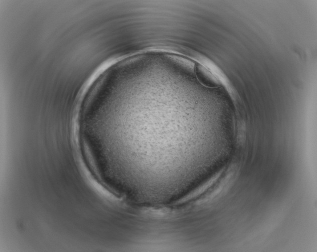 X0000113880955200910081744