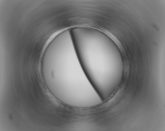 X0000113880956200910081744