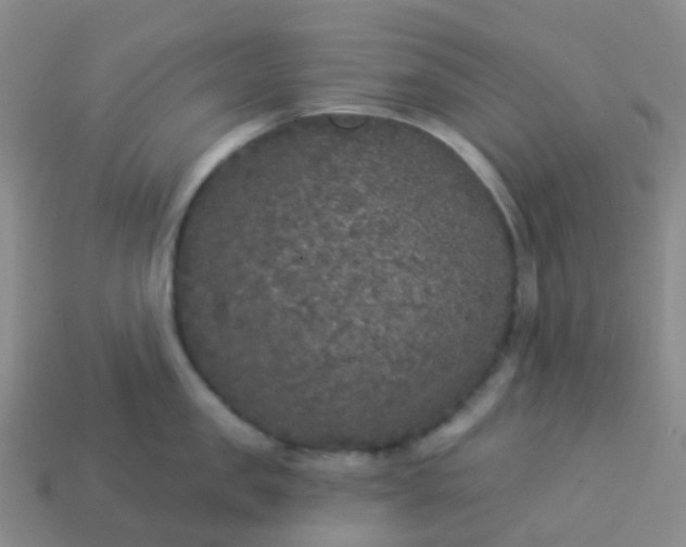 X0000113880957200910081744