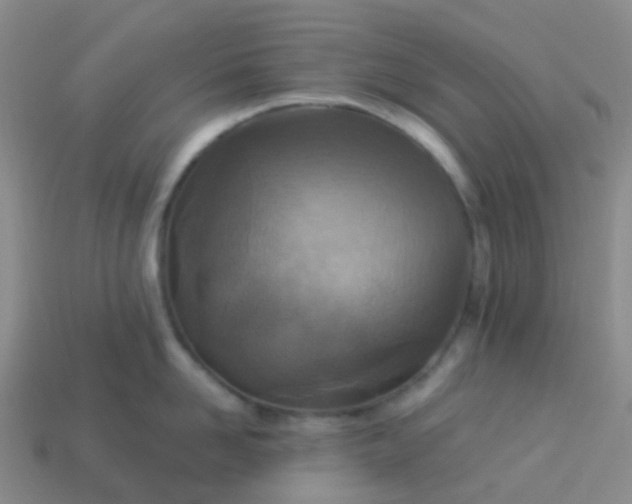 X0000113880958200910081744