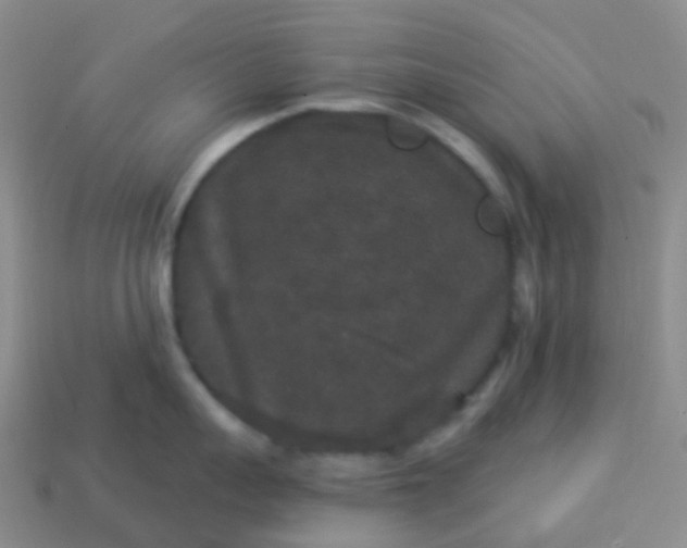 X0000113880959200910081744