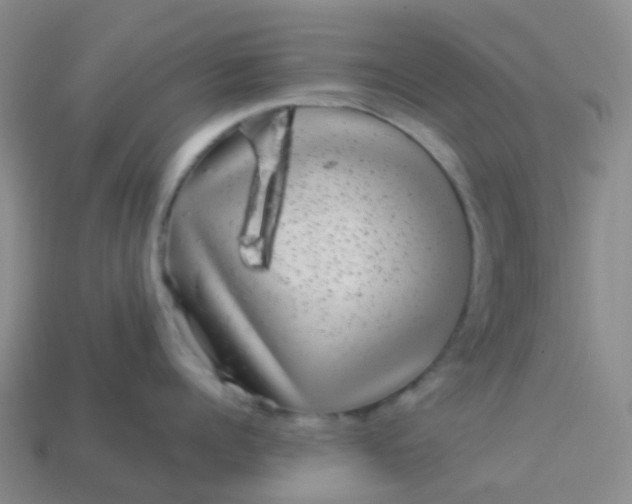 X0000113880960200910081744