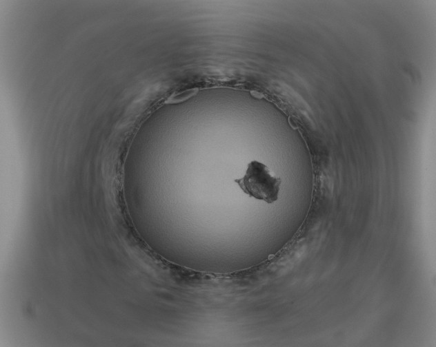 X0000113880961200910081743