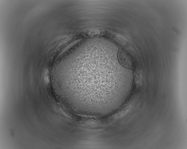 X0000113880962200910081743