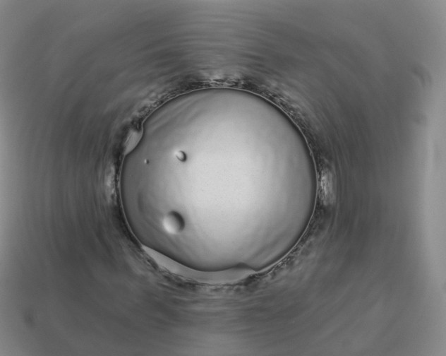 X0000113880963200910081743