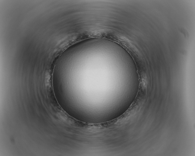 X0000113880964200910081743