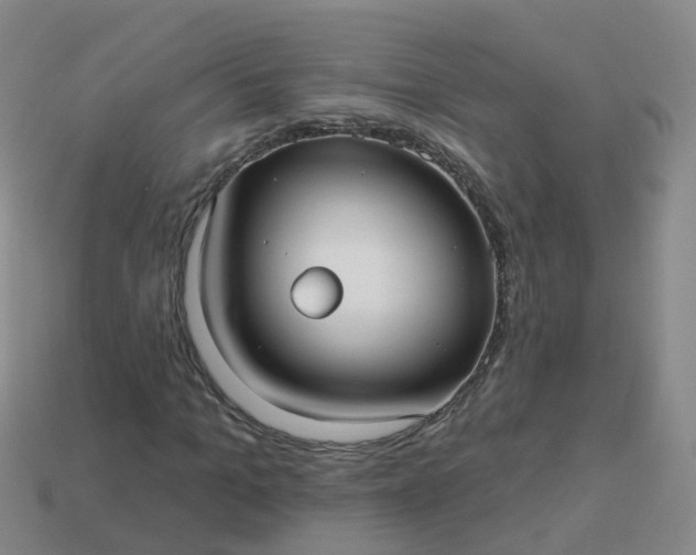 X0000113880965200910081743