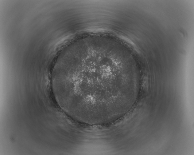 X0000113880966200910081743