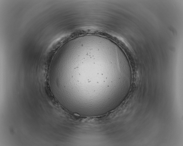 X0000113880967200910081743