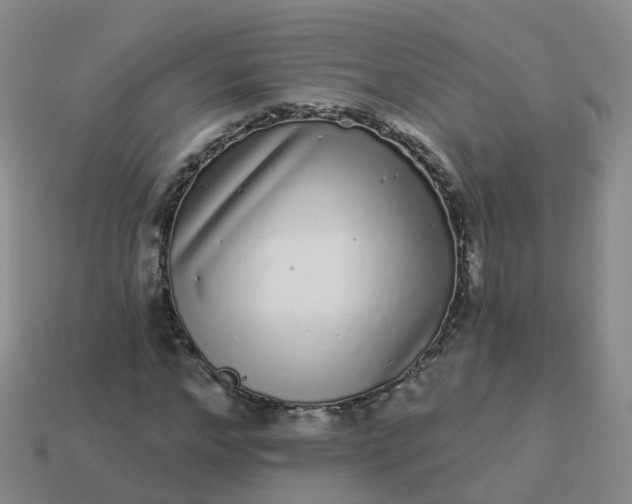 X0000113880968200910081743