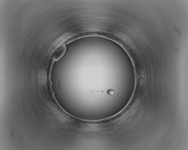 X0000113880969200910081743