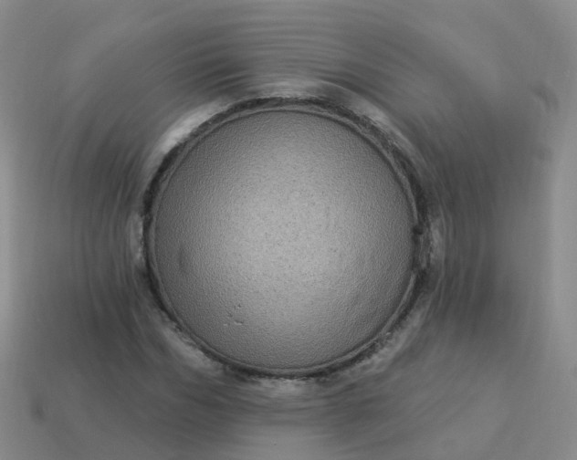 X0000113880970200910081743