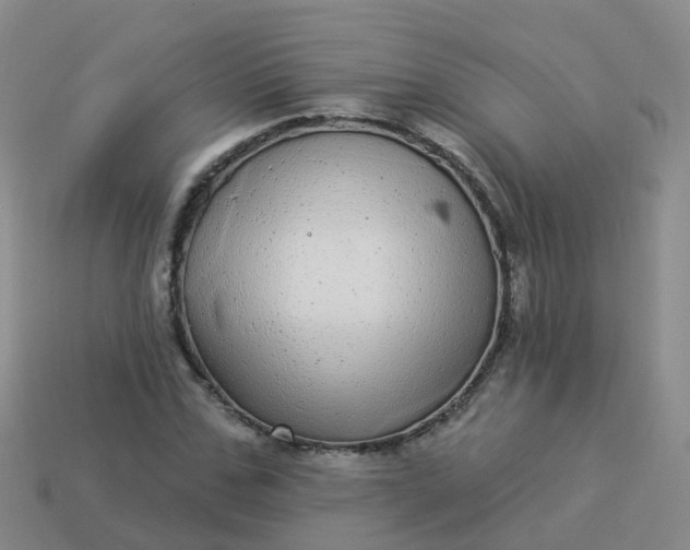 X0000113880971200910081743