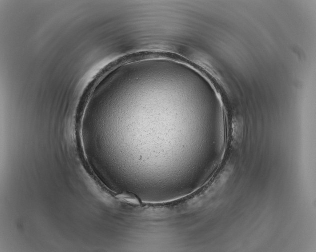 X0000113880972200910081743