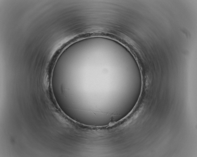 X0000113880973200910081743