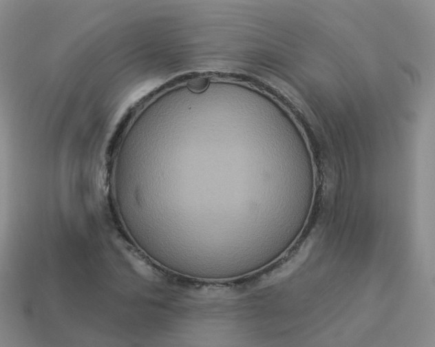 X0000113880974200910081743