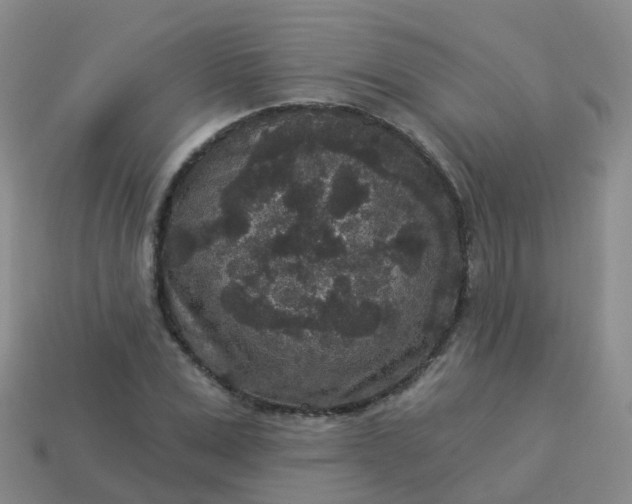 X0000113880975200910081743