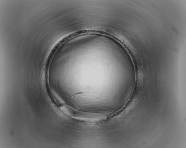 X0000113880976200910081743