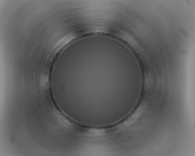 X0000113880977200910081743