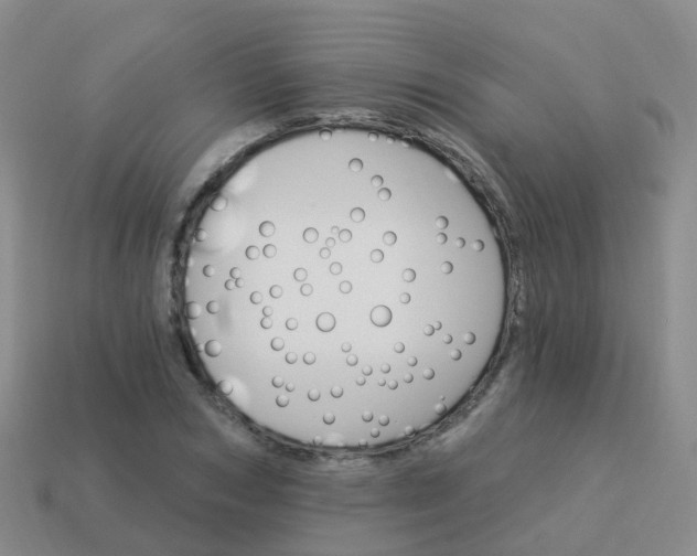 X0000113880978200910081743