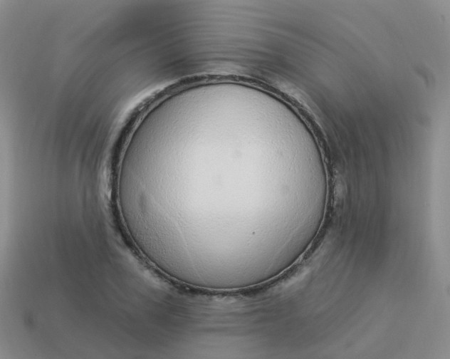 X0000113880979200910081743