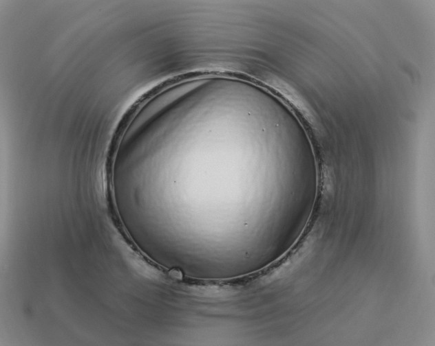 X0000113880980200910081743