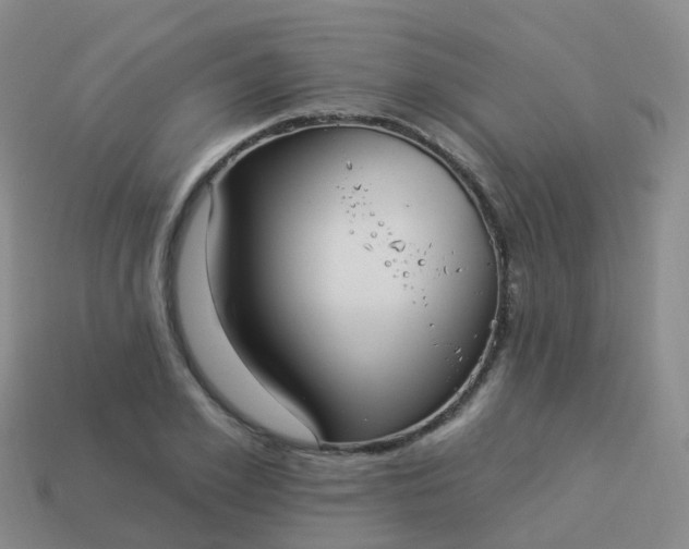 X0000113880981200910081743