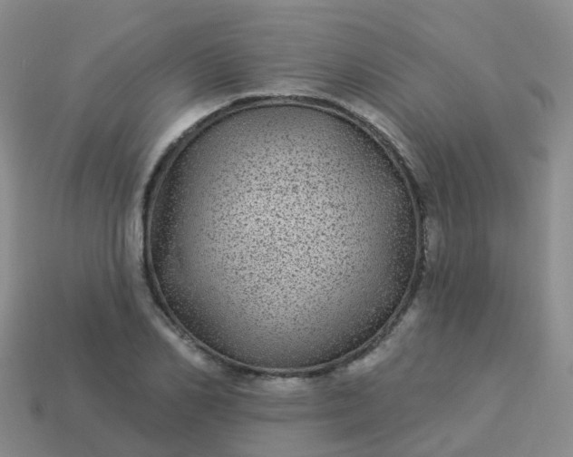 X0000113880982200910081743