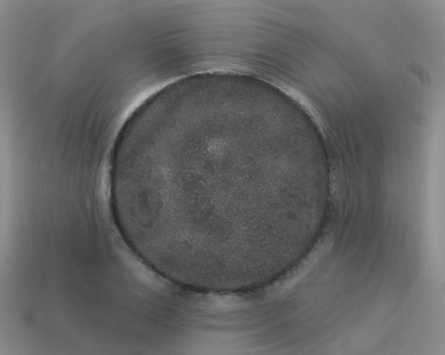 X0000113880983200910081743