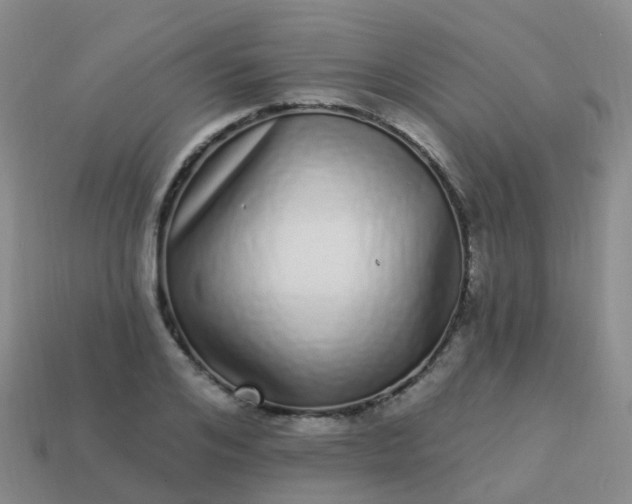 X0000113880984200910081743